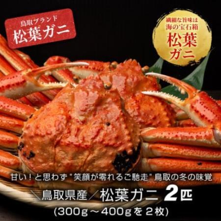 【11月中旬以降順次発送】ボイル松葉ガニ(300～400gを2枚)　OM-16-1【配送不可地域：離島・北海道・沖縄県・東北・信越、北陸】【1745692】