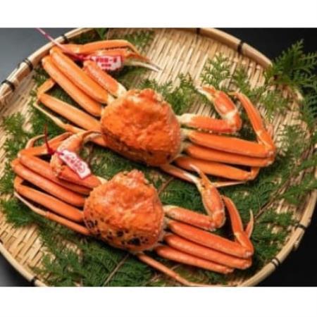 【11月中旬以降順次発送】ブランドタグ付ボイル松葉ガニ　600～700gを2枚　OM-27【配送不可地域：離島・北海道・沖縄県・東北・信越、北陸】【1745695】