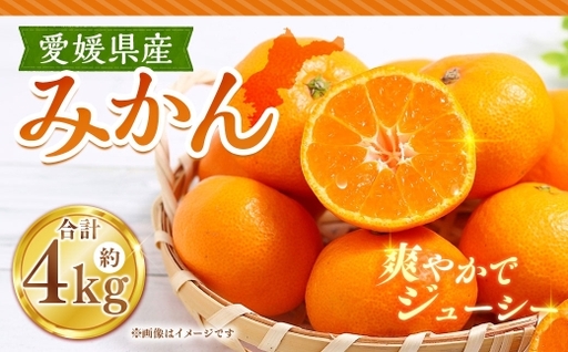 みかん 約4kg ミカン くだもの 果物 フルーツ 柑橘 柑橘系 柑橘類 果実 果汁 果肉 国産 [ 2026年11月上旬〜12月下旬発送予定 ] ( 1119 )