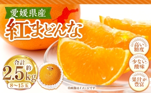 紅まどんな 約2.5kg みかん ミカン くだもの 果物 フルーツ 柑橘 柑橘系 柑橘類 果実 果汁 果肉 国産 [ 2026年11月下旬〜12月下旬発送予定 ] ( 1120 )