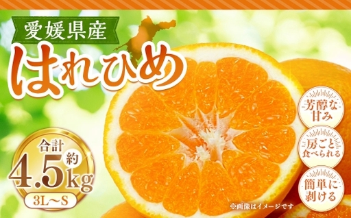 はれひめ 約4.5kg みかん ミカン オレンジ くだもの 果物 フルーツ 柑橘 柑橘系 柑橘類 果実 果汁 果肉 国産 [ 2026年12月下旬〜2027年1月上旬発送予定 ] ( 1121 )