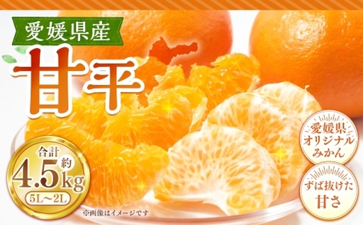 甘平 約4.5kg みかん ミカン くだもの 果物 フルーツ 柑橘 柑橘系 柑橘類 果実 果汁 果肉 国産 ブランド [ 2027年1月下旬〜2月上旬発送予定 ] ( 1124 )