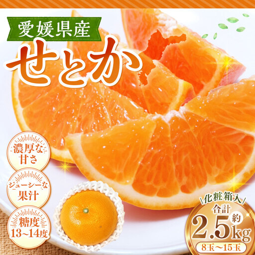 せとか 約2.5kg みかん ミカン くだもの 果物 フルーツ 柑橘 柑橘系 柑橘類 果実 果汁 果肉 国産 [ 2027年2月上旬〜3月上旬発送予定 ] ( 1126 )