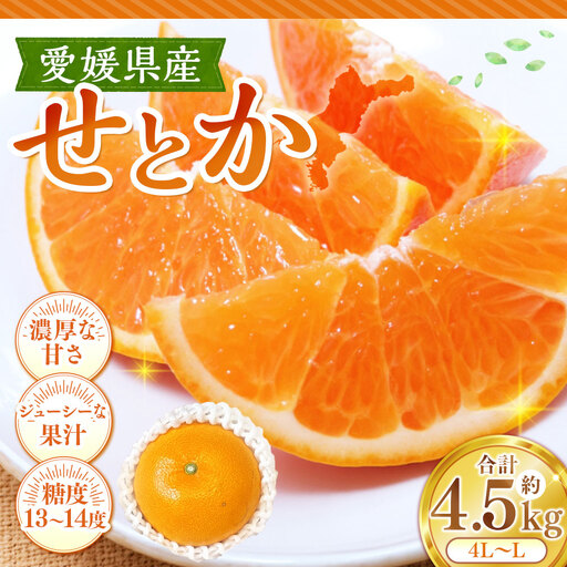 せとか 約4.5kg みかん ミカン くだもの 果物 フルーツ 柑橘 柑橘系 柑橘類 果実 果汁 果肉 国産 【 2027年2月上旬～3月上旬発送予定 】 ( 1127 )