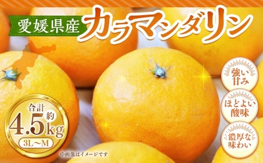カラマンダリン 約4.5kg みかん ミカン くだもの 果物 フルーツ 柑橘 柑橘系 柑橘類 果実 果汁 果肉 国産 [ 2027年4月上旬〜5月上旬発送予定 ] ( 1128 )