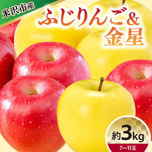 [令和8年産]りんご(ふじ 金星) 詰め合わせ 計約3kg 2026年