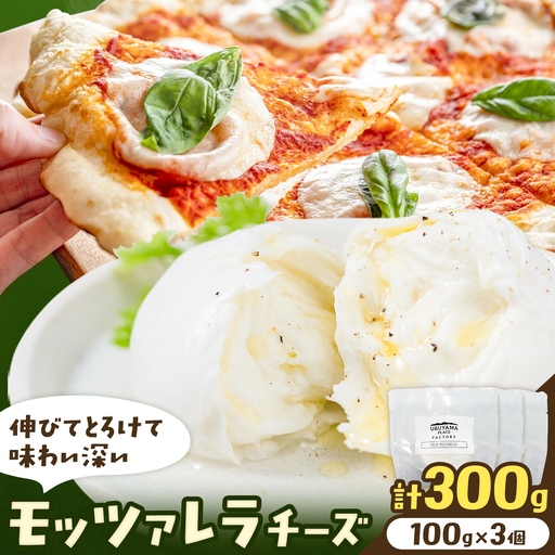 モッツァレラチーズ 3個 計300g 株式会社UBUYAMAPLACE[30日以内に出荷予定(土日祝除く)]
