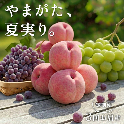 [2027年先行予約] やまがた、夏実り。定期便