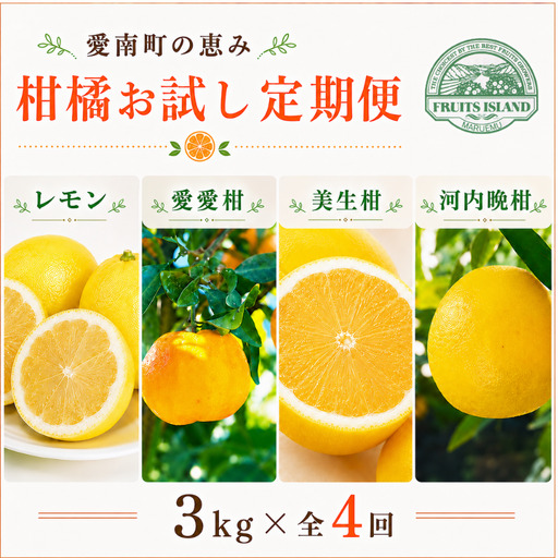 定期便 4回 4ヶ月 レモン ポンカン 美生柑 河内晩柑  柑橘 みかん 蜜柑 みしょうかん フルーツ 果物 くだもの ばんかん かんきつ ゼリー ジュース アイス マーマレード 旬 季節 限定 贈答 ギフト mikan ジューシー サラダ ピール 厳選 国産 愛媛 ご当地ブランド 愛媛県 愛南町 フルーツアイランド･マルエム直販