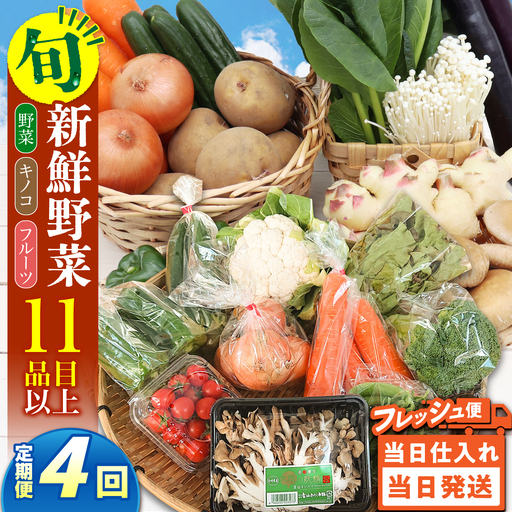 【毎月コース】野菜 キノコ 果物 11品目 詰め合わせ 4回 定期便  / 南島原市 / 吉岡青果[SCZ031]