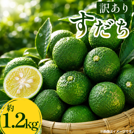 訳あり すだち 1.2kg スダチ 家庭用 [ すだち ]