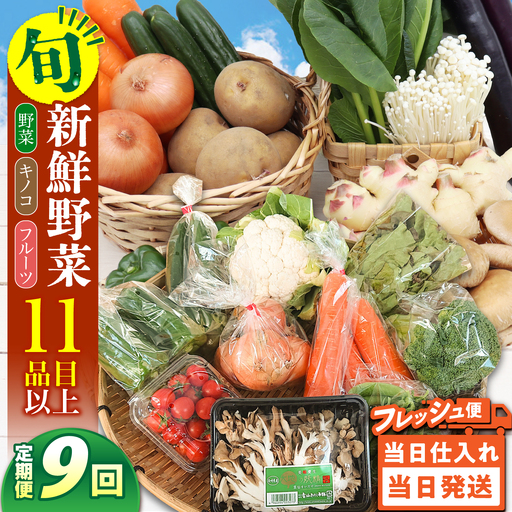【毎月コース】野菜 キノコ 果物 11品目 詰め合わせ 9回 定期便  / 南島原市 / 吉岡青果[SCZ035]