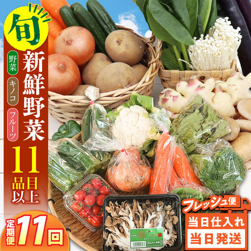 【毎月コース】野菜 キノコ 果物 11品目 詰め合わせ 11回 定期便  / 南島原市 / 吉岡青果[SCZ037]
