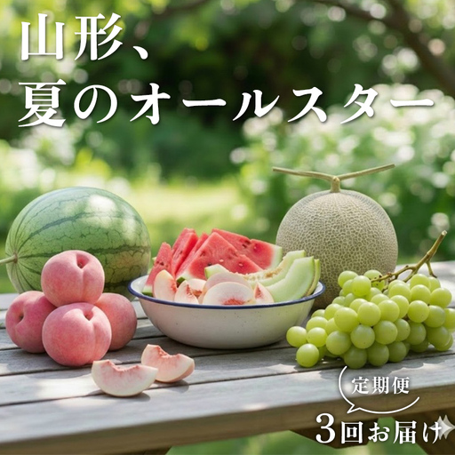 【2027年先行予約】 山形、夏のオールスター定期便 FSY-2933