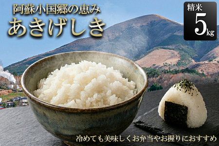 [JA阿蘇小国郷]令和7年産 阿蘇小国郷のお米「あきげしき」5kg 一等米限定 人気観光地でも提供 冷めても美味しい 高品質 おにぎり お弁当におすすめ 名水が育むお米 熊本県 阿蘇 小国町ふるさと納税