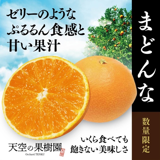 【先行受付】天空の果樹園から届く そらまどんな(3.5kg)【95-20】【1757716】YWTAQ012