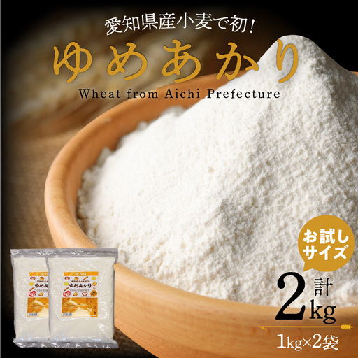 （お試し）【小麦粉】愛知県産 ゆめあかり 国産 パン用 強力粉 1kg×2袋（計2kg） H008-296
