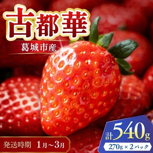 古都華 葛城市産古都華4パック 1月~3月発送[ichi0002]