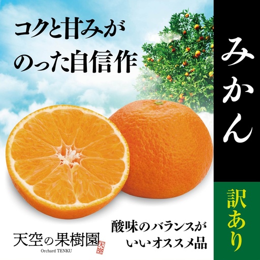 【先行受付】天空の果樹園から届く そらみかん (10kg)【訳あり】【95-13】【1757735】YWTAQ017