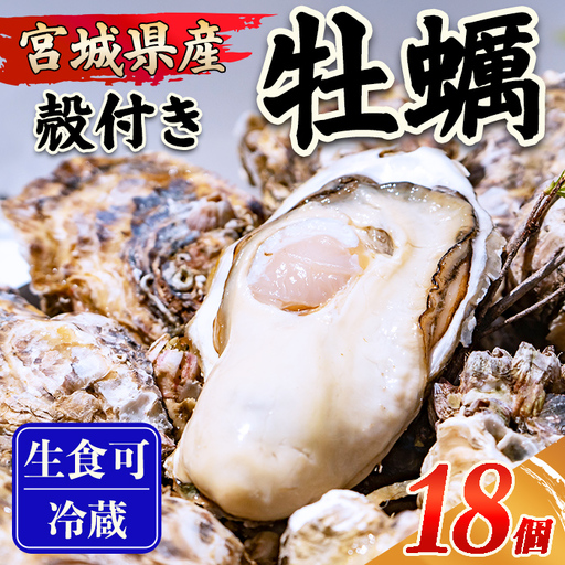 殻付き牡蠣(生食用)冷凍18個(約1.5kg) 生牡蠣 宮城県産 牡蛎 牡蠣 カキ かき 生食 オイスター カキフライ 牡蠣鍋 海鮮 国産 魚貝類 バーベキュー BBQ [末永海産株式会社]sh166