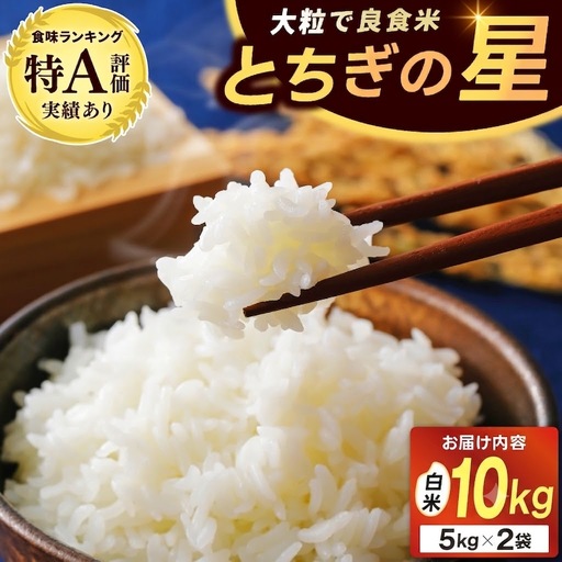 ＼先行予約・令和8年産／山﨑観光農園のお米　とちぎの星　白米10kg（AU047）