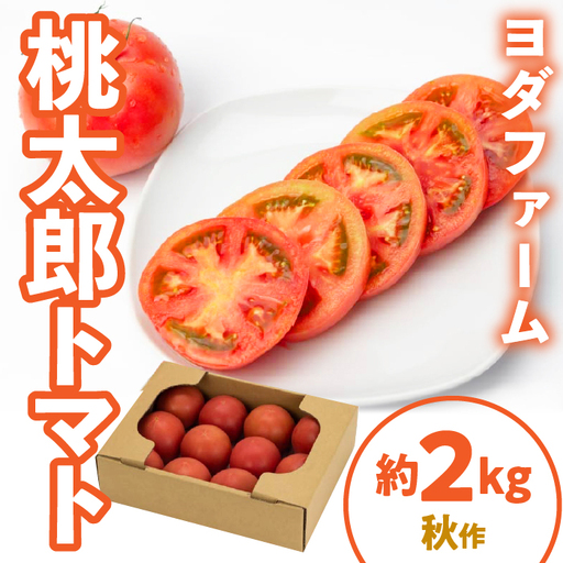 桃太郎トマト 2kg(秋作) SWBQ001-b