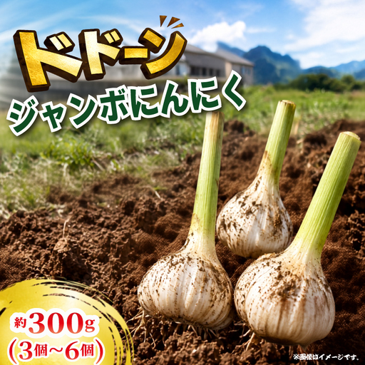 ジャンボにんにく 300g(3〜6個)ニンニク