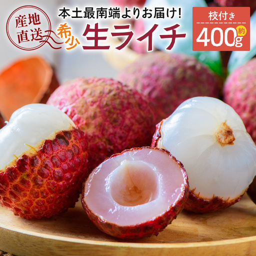 [今が旬!数量限定]本土最南端よりお届け!希少生ライチ(約400g)TE-1|国産 果物 ライチ らいち 生 枝付き 栽培期間中 無農薬 ぷりぷり ジューシー 産地直送 限定 鹿児島県 南大隅町 有限会社ティエラ