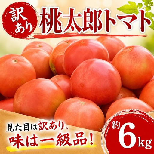 [2027年5月〜発送]トマト 約6kg 訳あり トマト 先行予約