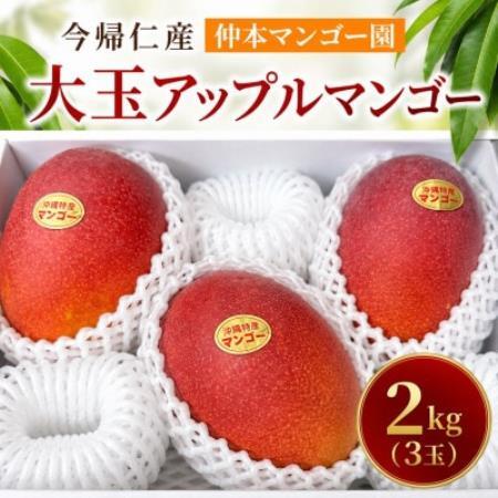 [2027年7月上旬から順次発送・贈答用]仲本マンゴー園の大玉アーウィンマンゴー2kg(3玉)[配送不可地域:離島]