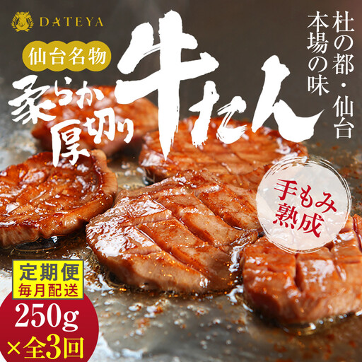 【定期便3回】仙台名物 柔らか厚切り牛たん 250g（250g×1袋） ｜ 牛たん