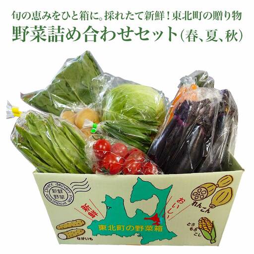 野菜詰め合わせセット(春、夏、秋) [02408-0134]