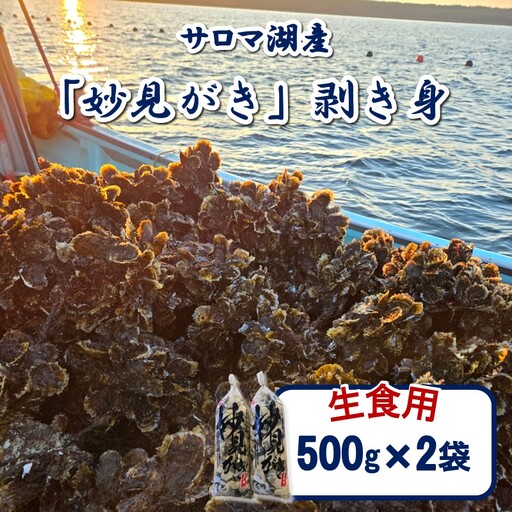 [予約:2026年11月から順次発送]サロマ湖産 生食用「妙見がき」剥き身 1kg ( サロマ湖 北見市産 牡蠣 カキ かき 生食 むき身 500g 2袋 )[156-0004]