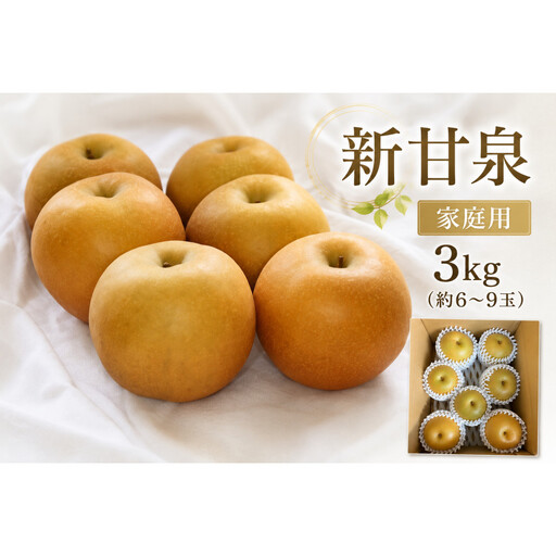 [2026年度先行予約]数量限定 鳥取県産 新甘泉 家庭用 3kg(約6〜9玉)[8月20日以降発送]