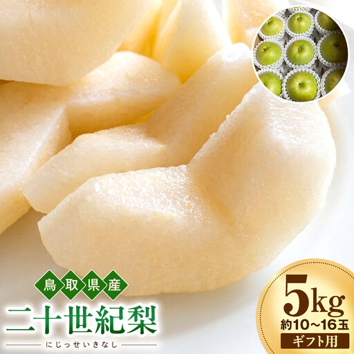 【2026年度先行予約】数量限定　鳥取県産　二十世紀梨　ギフト用　秀品 5kg(約10〜16玉)【8月20日以降発送】