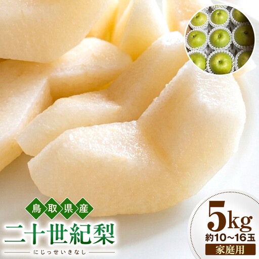 【2026年度先行予約】数量限定　鳥取県産　二十世紀梨　家庭用 5kg(約10〜16玉)【8月20日以降発送】