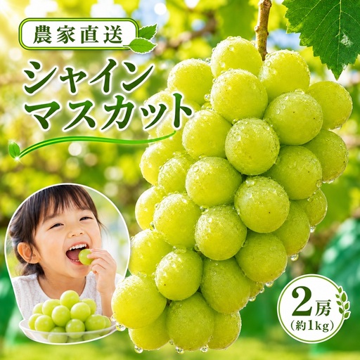 シャインマスカット 1kg[農家直送]| 仲田農園