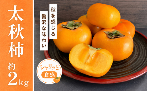 先行予約 柿 太秋柿 2kg くまふる宇城