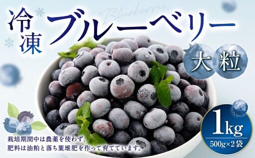 冷凍ブルーベリー 大粒 500g × 2 ブルーベリー フルーツ 果物 くだもの ベリー デザート おやつ 冷凍 【 2026年8月上旬発送開始 】