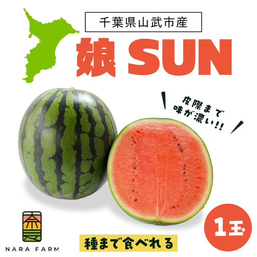 [先行予約・2027年6月下旬頃より発送]娘SUN 1玉