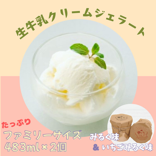 生牛乳クリーム ギフトボックス アイス アイスクリーム ジェラート ミルク いちご スイーツ 冷凍 2K01009