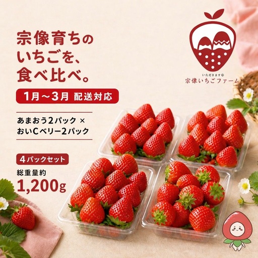 [先行予約][2027年1月より順次発送]人気のいちご 2品種食べ比べセット[宗像いちごファーム]_HA2067 苺 イチゴ あまおう おいCベリー 福岡県宗像市 宗像市 福岡 宗像