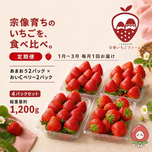 [先行予約][2027年1月より順次発送][3ヶ月毎月お届け]人気のいちご 2品種食べ比べ定期便[宗像いちごファーム]_HB0214 苺 イチゴ あまおう おいCベリー 福岡県宗像市 宗像市 福岡 宗像