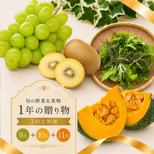 [定期便3回] マスカット ゴールドキウイ 秋野菜 旬 野菜