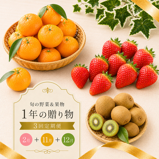 [定期便3回] いちご キウイ みかん さぬきひめ 小原紅早生 キウイっこ