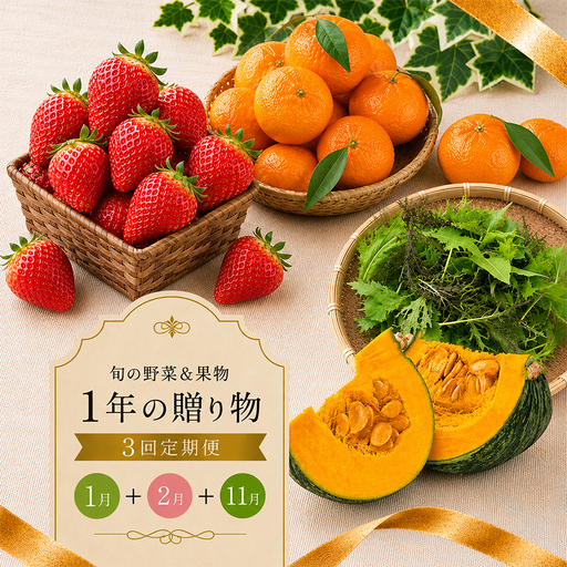 [定期便3回] いちご 野菜 みかん 旬 野菜