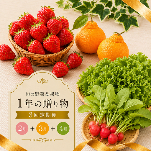 [定期便3回] 春野菜 いちご デコポン 果物 定期便