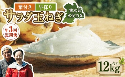 [年3回定期便][2027年2月上旬発送開始]1年に1度だけ!甘くて柔らかい!早採りサラダ玉ねぎ(優品・サイズ混合) [栽培期間中、無農薬・無化学肥料栽培/熊本県水俣市産/耕人舎] 玉ねぎ たまねぎ タマネギ 玉葱 野菜 取り寄せ 産地直送