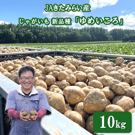 [予約:2026年9月上旬から順次発送]JAきたみらい産 じゃがいも 新品種「ゆめいころ」 10kg ( じゃがいも いも 芋 JA 北海道産 )[236-0001]