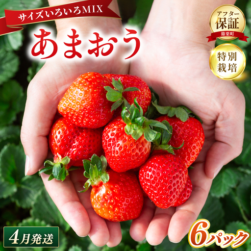 いちご 福岡県産 特別栽培 あまおう サイズいろいろMIX 約1710g（約285g×6パック）【4月発送】